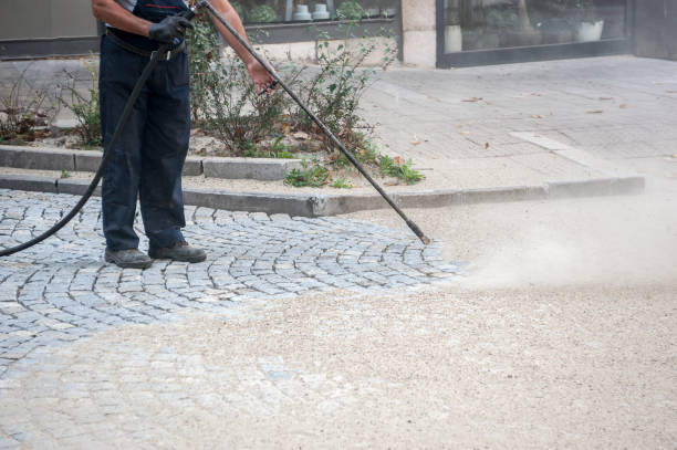 Best Driveway Pressure Washing  in Lac Du Flambeau, WI